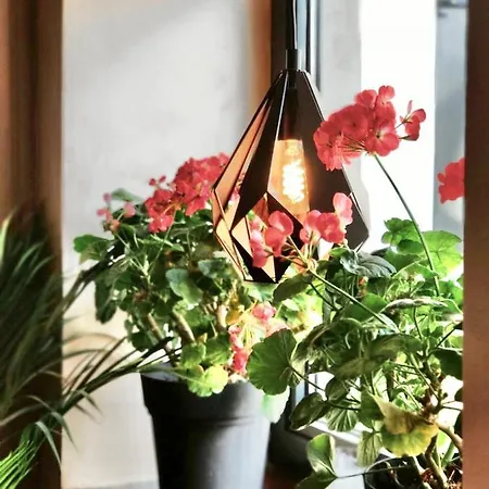 Drive Point 3* Asparukhovo (Varna)