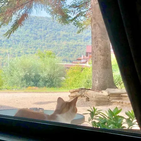 ホテル Drive Point 3*