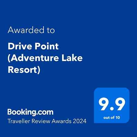 Drive Point 3*