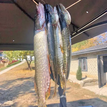 Drive Point Hotel 3*