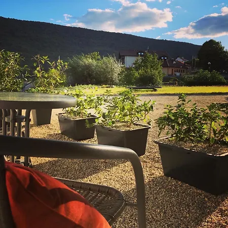 Drive Point Hotel 3*