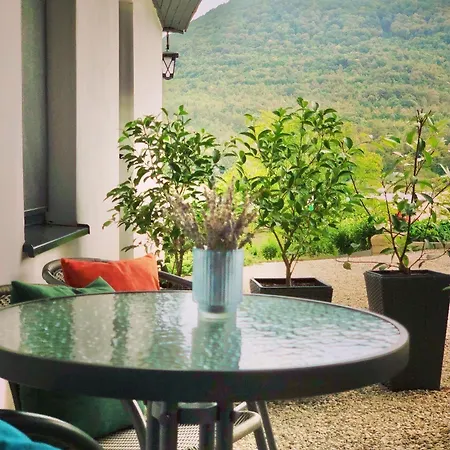 Drive Point 3* Asparukhovo