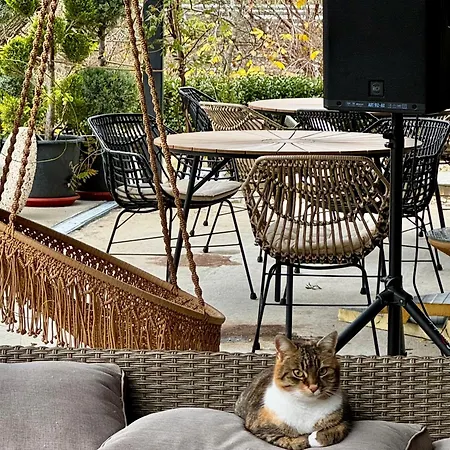 Drive Point ホテル Asparukhovo