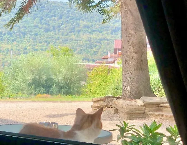 Hotel Drive Point 3*