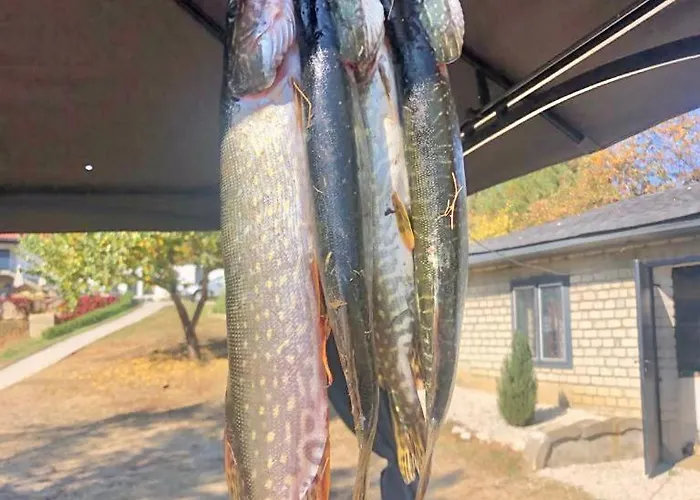 Drive Point Hotel 3*