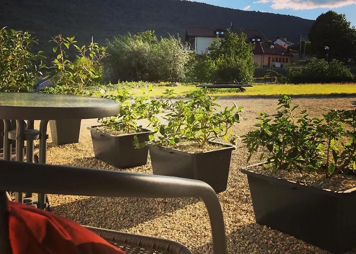 Drive Point Hotel 3*