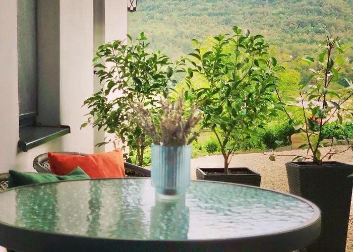 Drive Point 3* Asparukhovo (Varna)