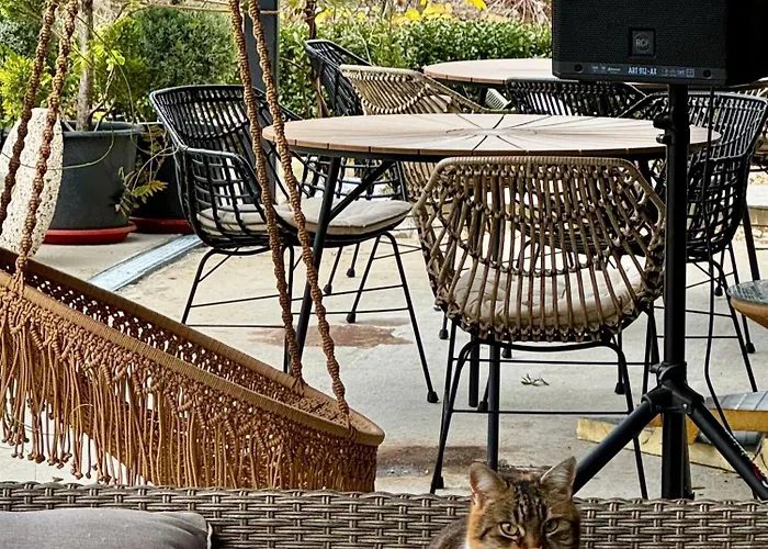 Drive Point Hotel Asparukhovo (Varna)